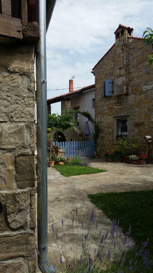 Labor Istrska Hiska Villa Marezige Kültér fotó